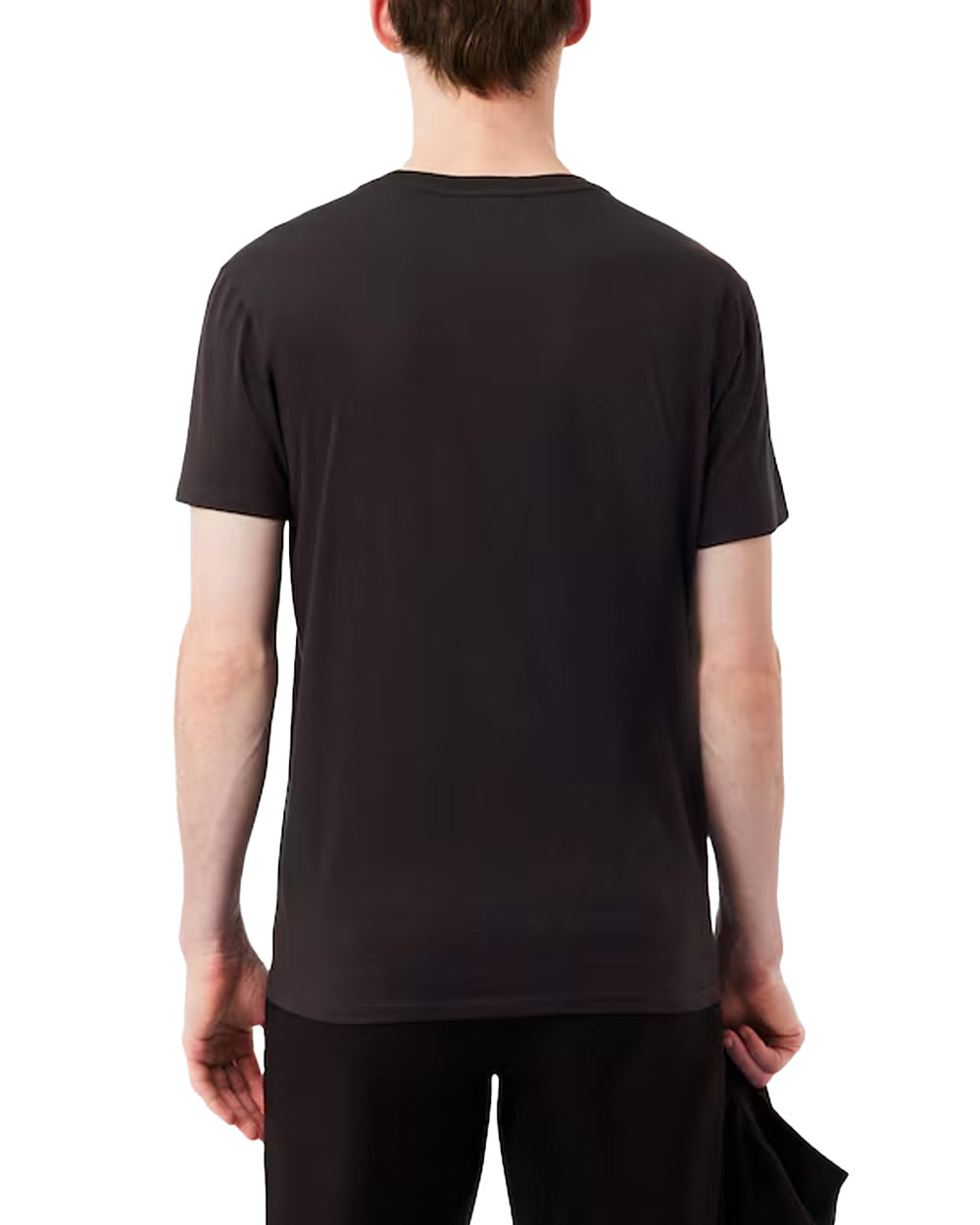 LACOSTE T-shirt LACOSTE uomo TH6709 Marrone pregiato cotone taglio dritto regular coccodrillo TH6709 3LA