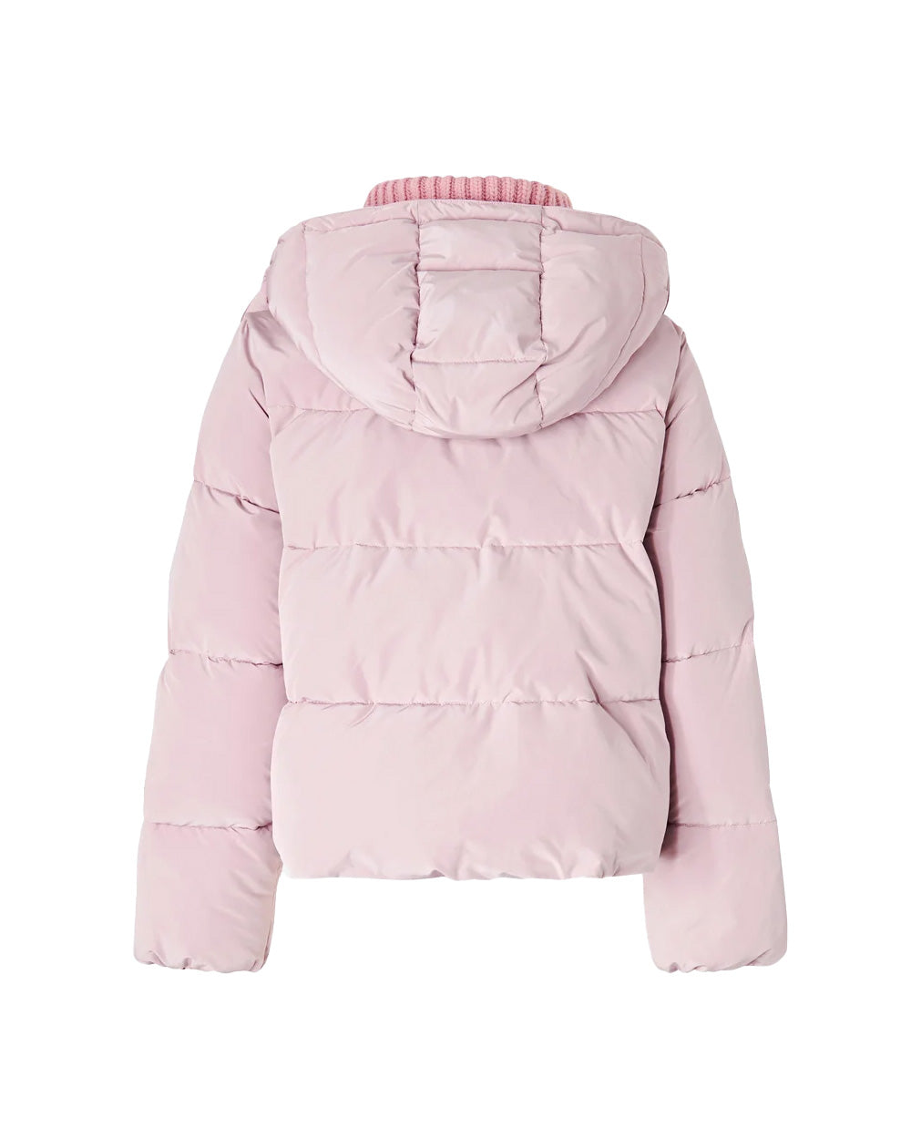 PINKO Giubbino PINKO donna 107161A39J DIANTHUS IMBOTTITO Rosa 107161A39J O06 