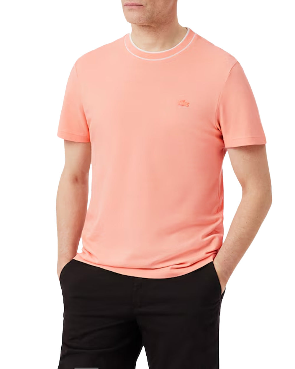 LACOSTE T-shirt LACOSTE uomo TH8174 Rosa TH8174 UI2 