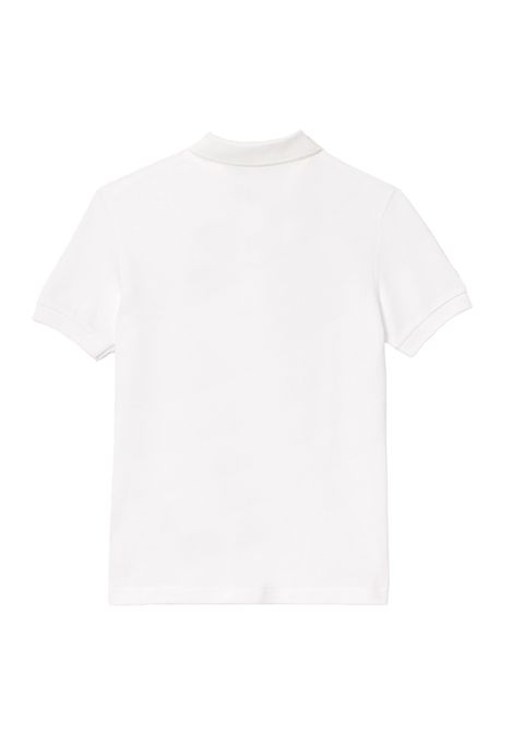 Polo Lacoste bambino PJ2909 001 bianca piquet LACOSTE | Polo | PJ2909R001