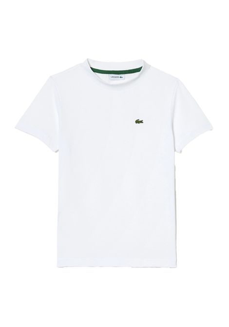 T-shirt Lacoste bambino TJ1122 001 bianca girocollo LACOSTE | T-shirt | TJ1122001