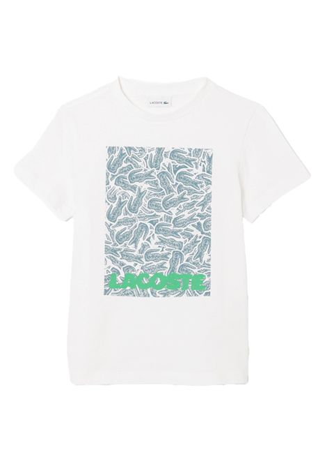 T-shirt Lacoste bambino TJ8457R001 bianca stampa LACOSTE | T-shirt | TJ8457R001